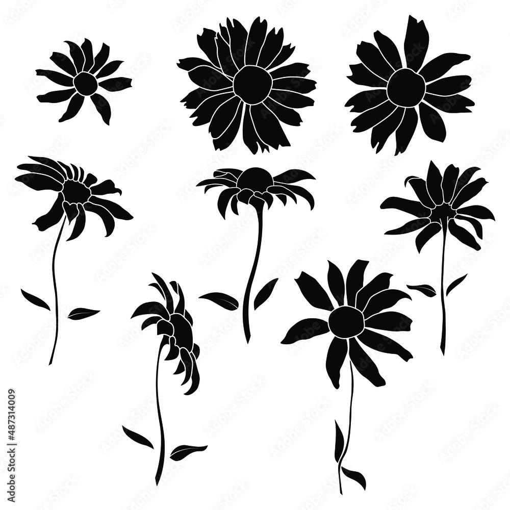 Set of open heliopsis blossom vector negative silhouette illustration isolated on white background. Vector sketch style top view hand drawing of wild, heliopsis, false sunflower.