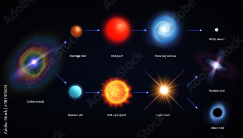 Life Cycle Star Infographics