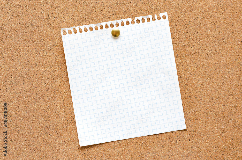 Blank paper notes are pinned to a cork board. Copy space. Blank paper notes are pinned to a cork board. Copy space.