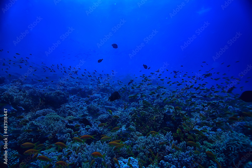coral reef background, underwater marine life ecosystem ocean sea coral reef background, underwater marine life ecosystem ocean sea
