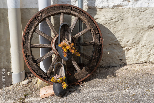 Country decoration. Wooden wheel, albarcas and plants. photo