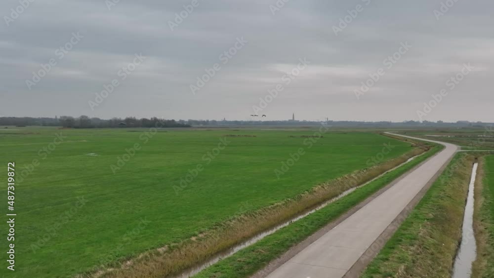 Tracking shot of three birds flying over green agricultural land on a cold, cloudy winter day Tracking shot of three birds flying over green agricultural land on a cold, cloudy winter day