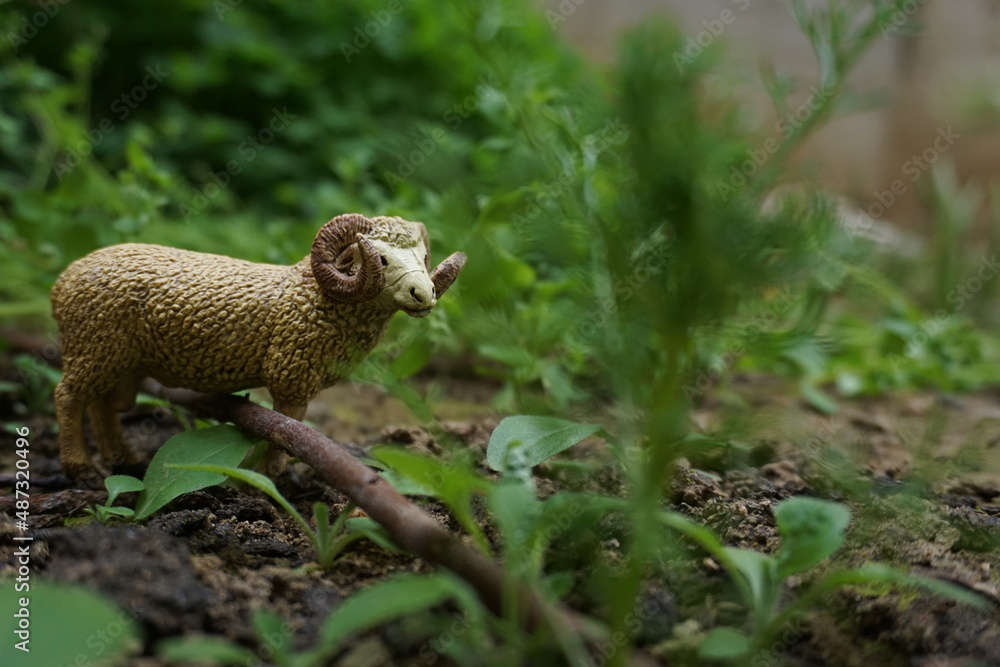 A toy sheep A toy sheep