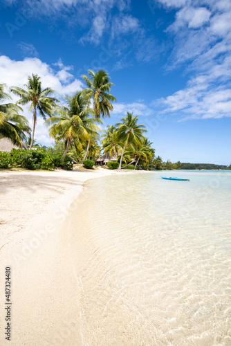 Tropical island with white sandy beach and palm trees © eyetronic