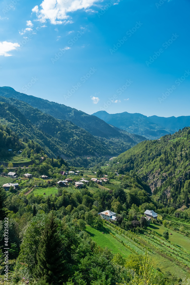 Beautiful view of the houses in the gorge of the green mountains on a sunny day. Beautiful mountain landscape on a bright summer day, Georgia. Vertical photo