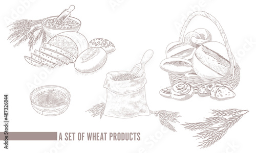 Ears of grain, wheat in a bag, a sieve, flour, bread and grain products in a basket. Collection of engraved vector images