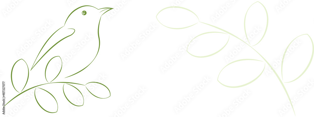 bird green white background flower horizontal banner minimalism line art spring bird green white background flower horizontal banner minimalism line art spring