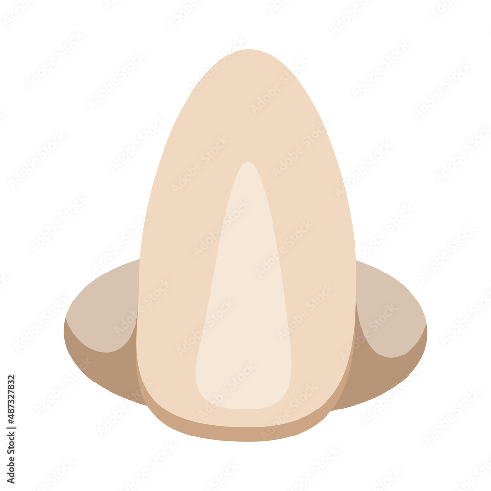 Fototapeta premium Fake Nose Icon