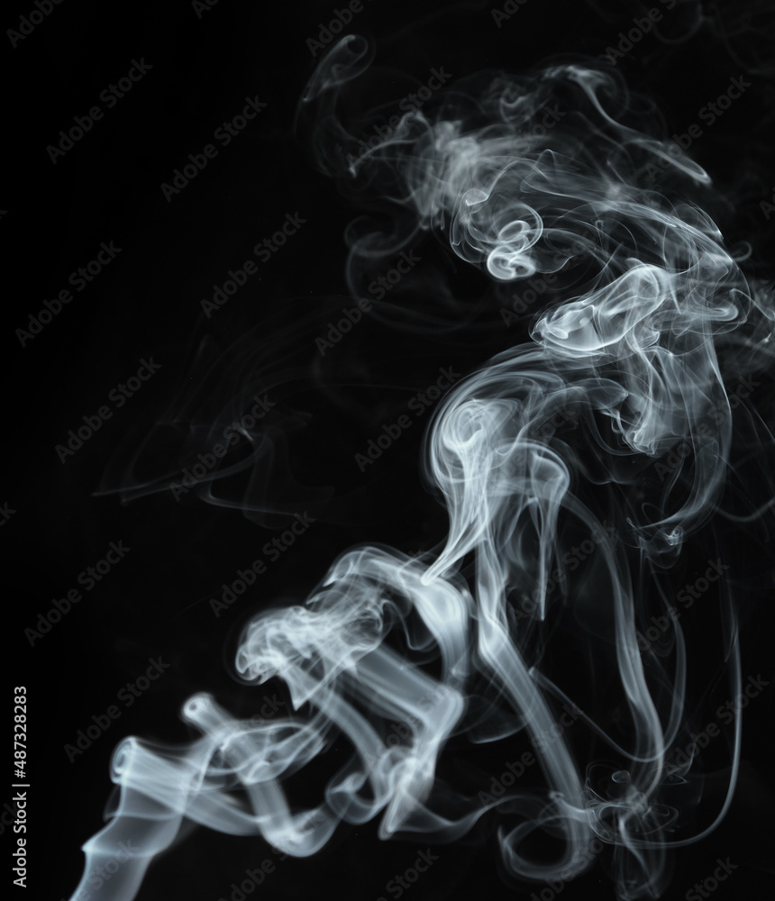 Fototapeta premium Twisted plumes of smoke, smoke movement on a black background. Abstract smoke lines