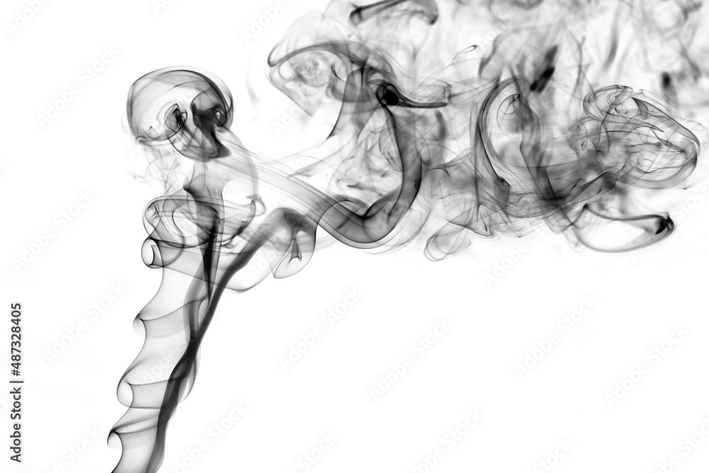 Twisted plumes of smoke, movement of black smoke on a white background. Abstract smoke lines Twisted plumes of smoke, movement of black smoke on a white background. Abstract smoke lines