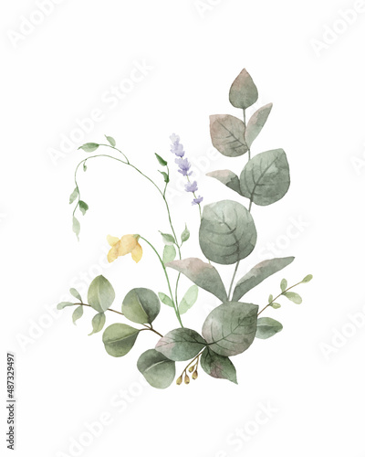Watercolor vector green eucalyptus and meadow flowers arrangement.
