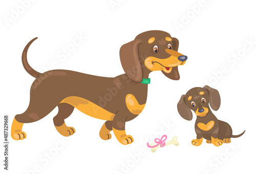 Funny adult dachshund dog with a cute puppy. In cartoon style. Isolated on white background. Vector flat illustration.