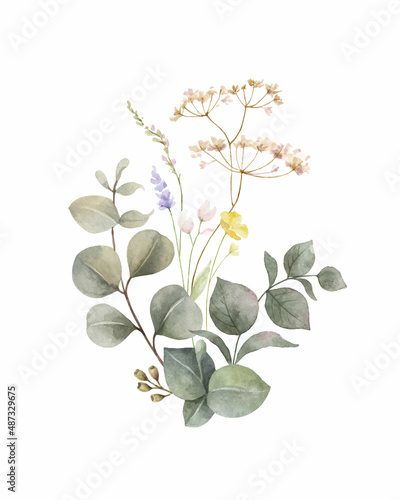 Watercolor vector green eucalyptus and meadow flowers arrangement. © ElenaMedvedeva