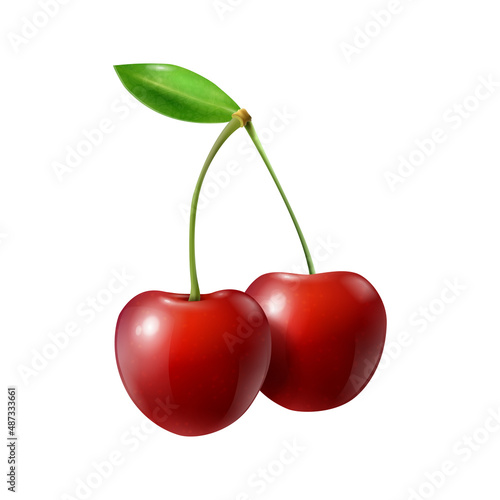 Realistic Cherries Illustration
