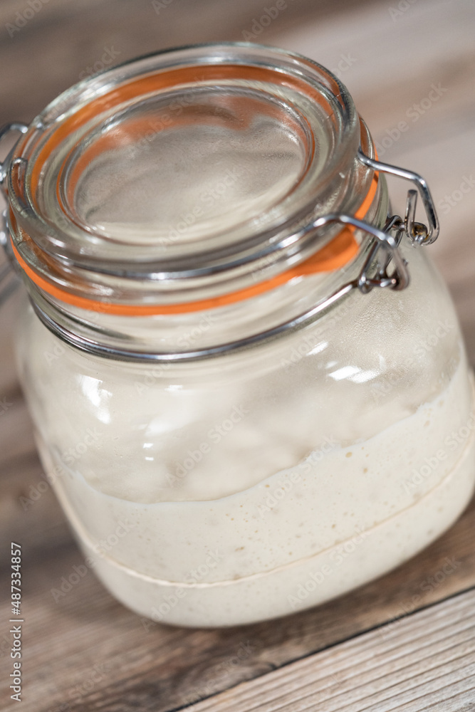 Sourdough starter Sourdough starter