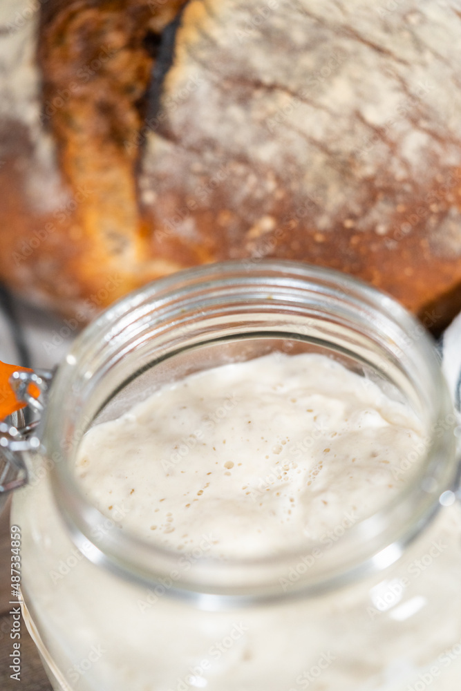Sourdough starter Sourdough starter