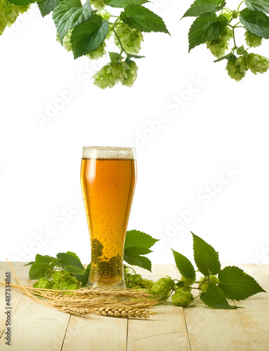  beer mug with ears of wheat and hop branches next to it