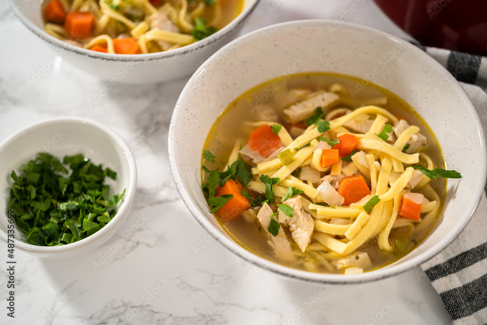 Chicken Noodle Soup Chicken Noodle Soup