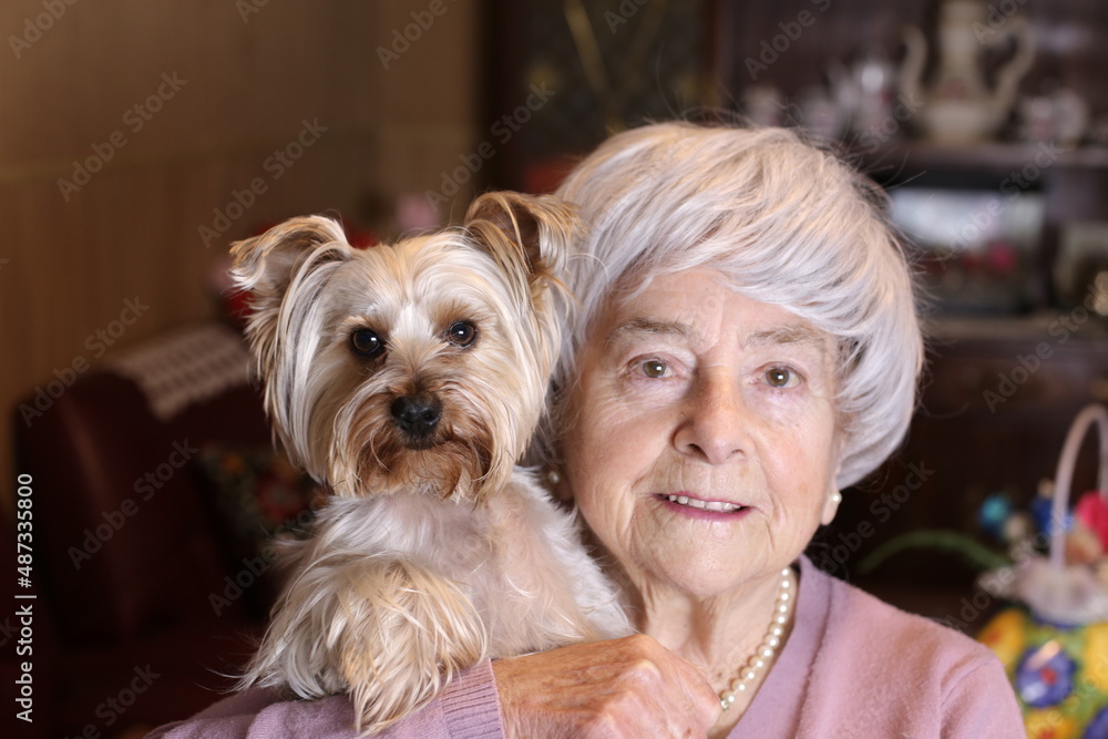 Older woman and her lap dog Older woman and her lap dog
