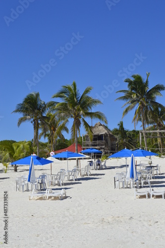 Guarda sol azul com cadeiras na praia, com coqueiros e céu azul ao fundo. © @trabalho.paraisso