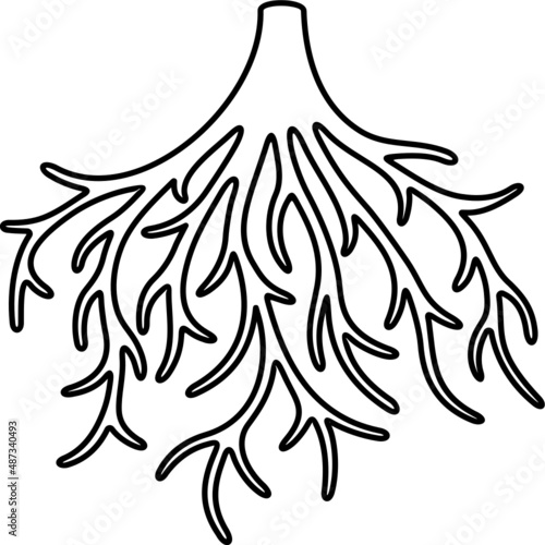 Root of the tree. Vector outline icon.