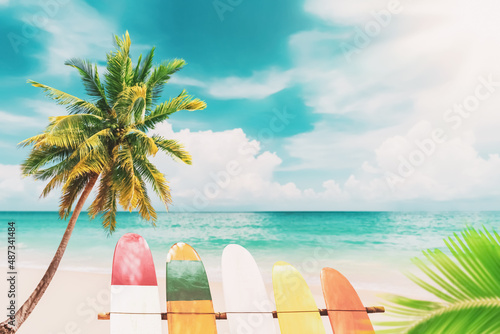 Fototapeta Naklejka Na Ścianę i Meble -  Surfboard and palm tree on beach background.