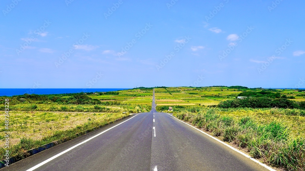 Fototapeta premium 海が見える昼下がりの奄美群島喜界島のシュガーロード