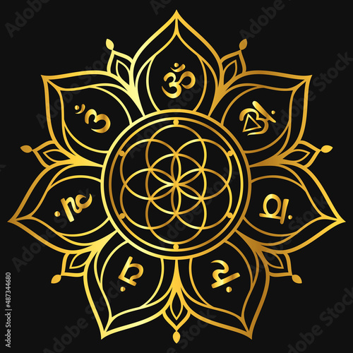 Chakra pattern Flower of life mandala with chakras. Sacred geometry Vector illustration