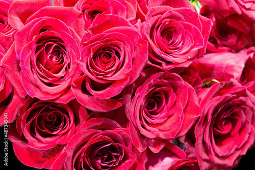 Background of large flowers of red roses