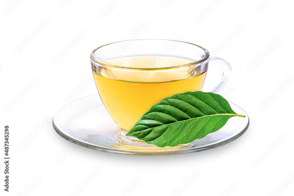 Cup of Kratom tea with fresh kratom leaf (Mitragyna speciosa) isolated on white background. Cup of Kratom tea with fresh kratom leaf (Mitragyna speciosa) isolated on white background.