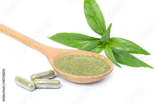 Andrographis paniculata leaf (Kariyat) and powder herbal capsules in wooden spoon isolated on white backgground. Thai herb medicine plant concept. photo