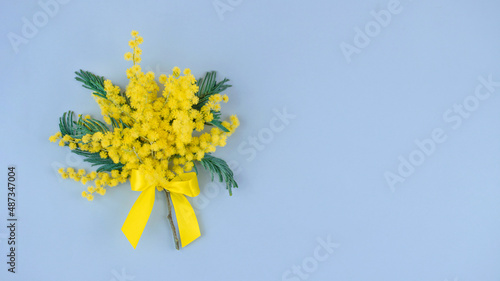 Top view of small bouquet of yellow mimosa flowers. Image with copy space