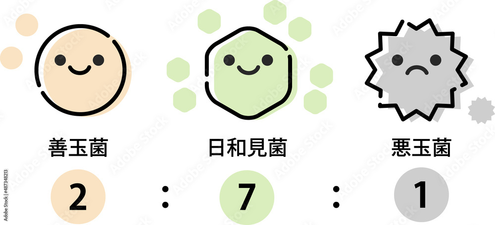 腸内環境のイラスト 腸内環境のイラスト