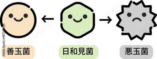 腸内環境のイラスト