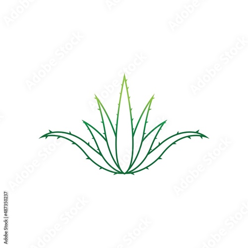 Aloe vera logo vector ilustration template