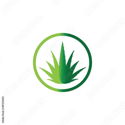 Aloe vera logo vector ilustration template