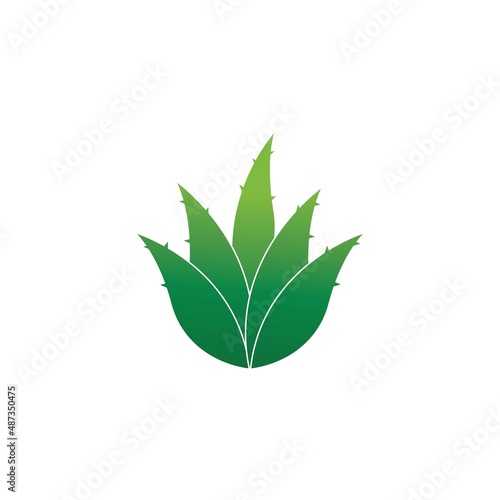 Aloe vera logo vector ilustration template