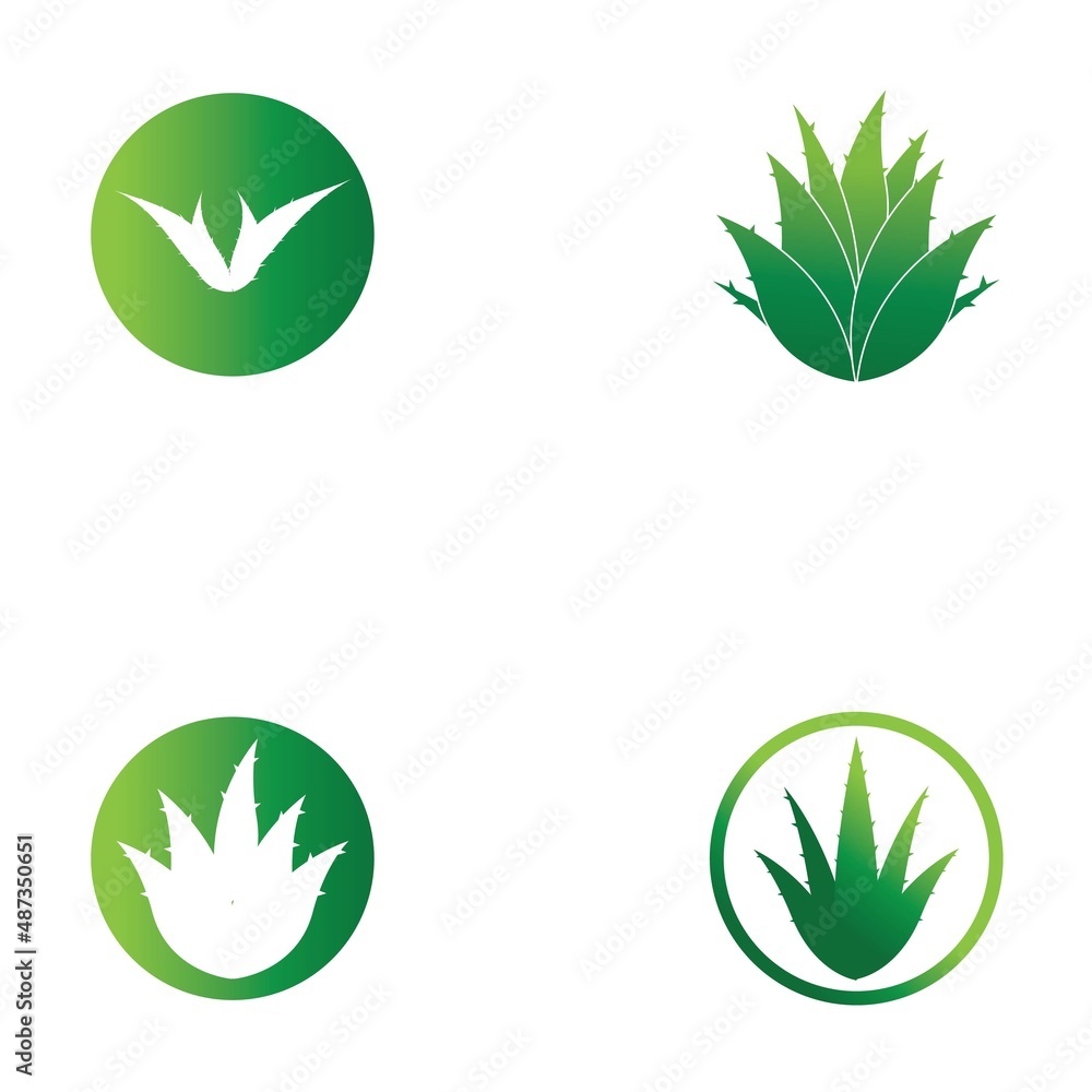 Aloe vera logo vector ilustration template