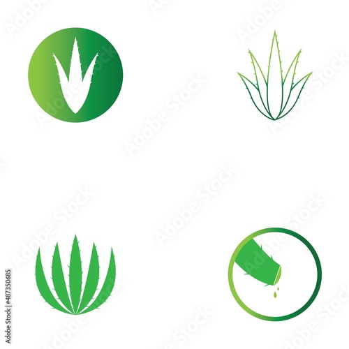 Aloe vera logo vector ilustration template