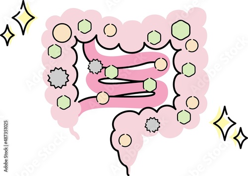 腸内環境のイラスト