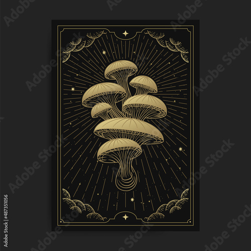 Mushroom or fungus engraving hand drawn