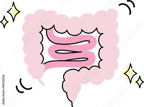 腸内環境のイラスト