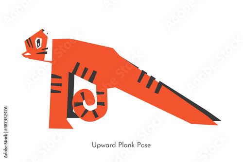 Vector isolated concept with animal cartoon character doing strengthening yoga practice - Purvottanasana. South China tiger learns Upward plank pose. Flat illustration of core sport training photo