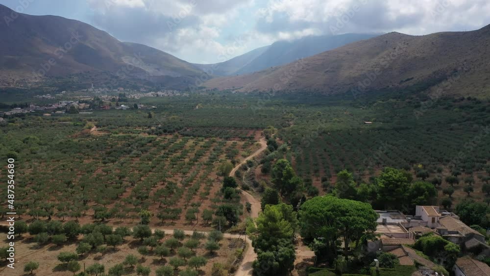 Valleys and Olive trees in the countryside of Sicily Valleys and Olive trees in the countryside of Sicily
