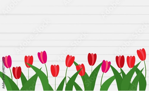 Red tulips lie on the table