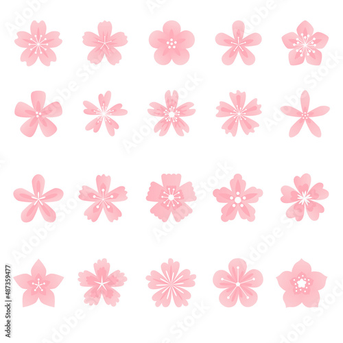 Pink flowers set. Sakura flowers collection of symbol, icon, sign. Cherry blossom vector illustration