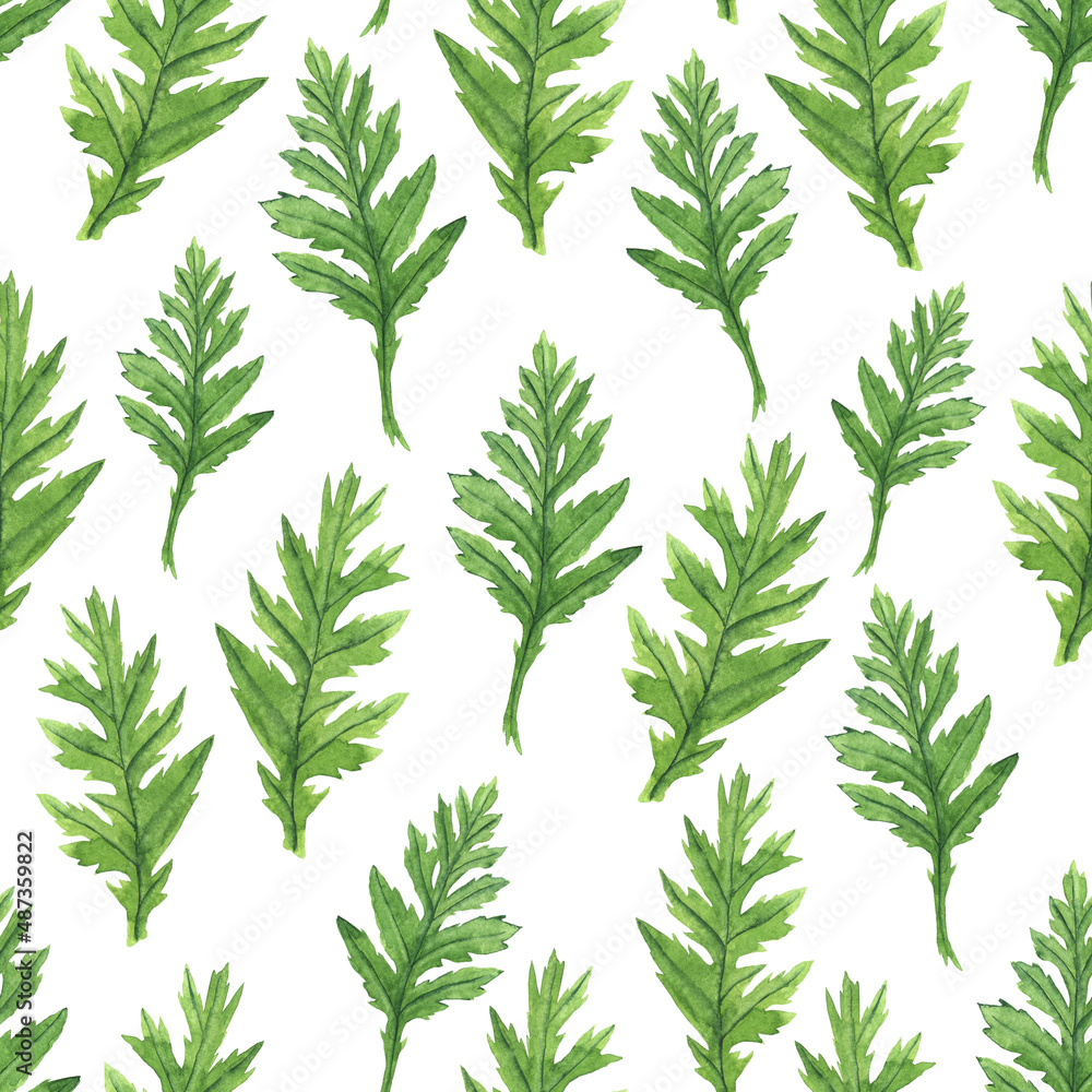 Watercolor poppy leaf seamless pattern on white background. Hand drawing illustration. Perfect for textile, wallpaper, backdrop.