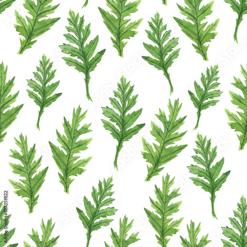 Watercolor poppy leaf seamless pattern on white background. Hand drawing illustration. Perfect for textile  wallpaper  backdrop.