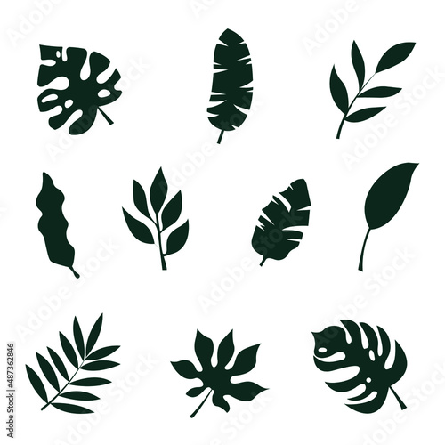 Set of isolated plants. Tree leaf stencils. Flat black and white illustration.
