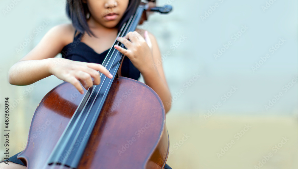 cello plying from buttom view in music concert cello plying from buttom view in music concert